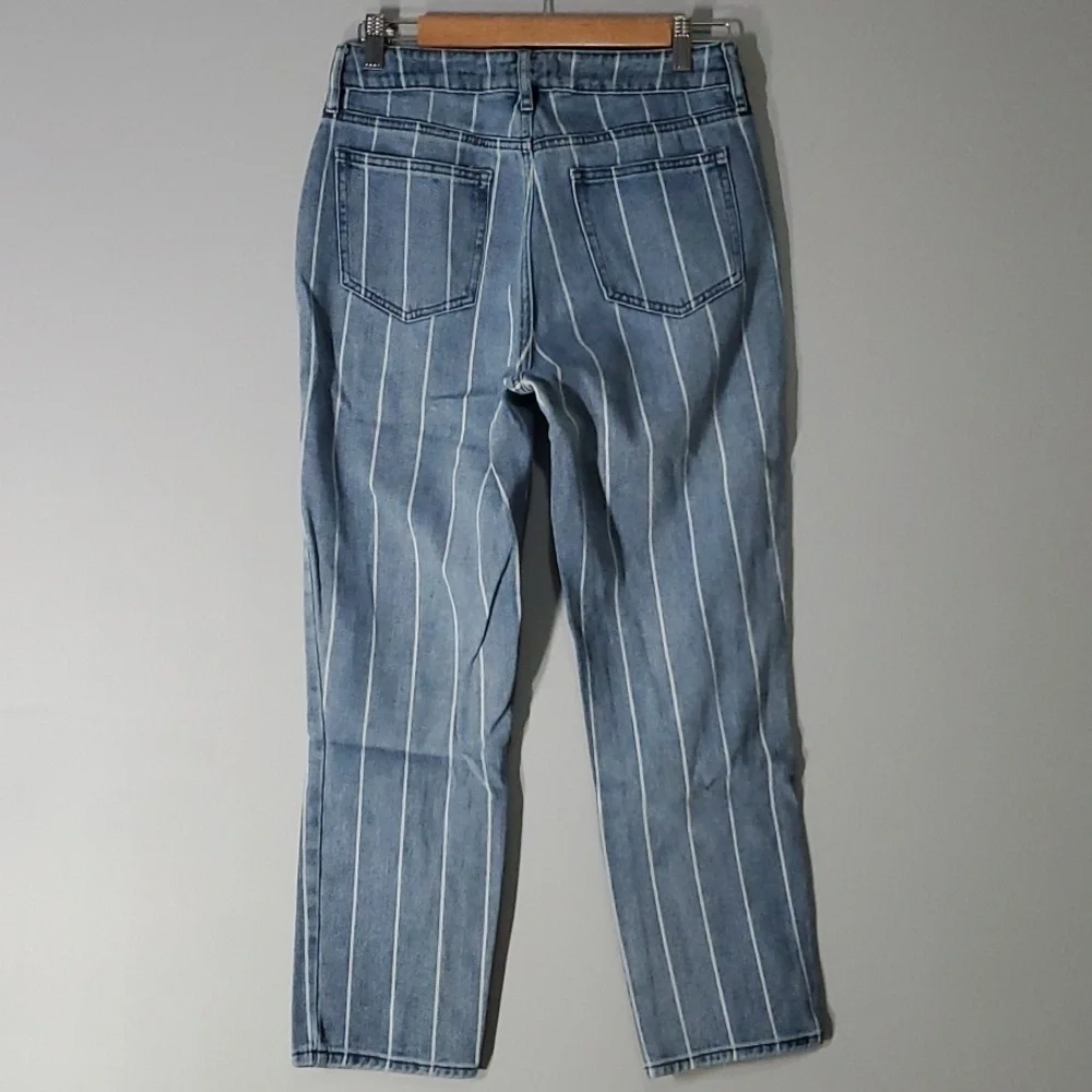 pacsun jeans women’s size 27 blue white Mom jean vertical stripes